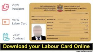 how to check uae labour card online