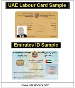 uae labor card sample, uae emirates id sample, uae resident card sample