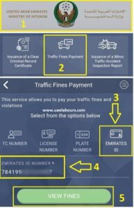 Check Emirates ID Fine