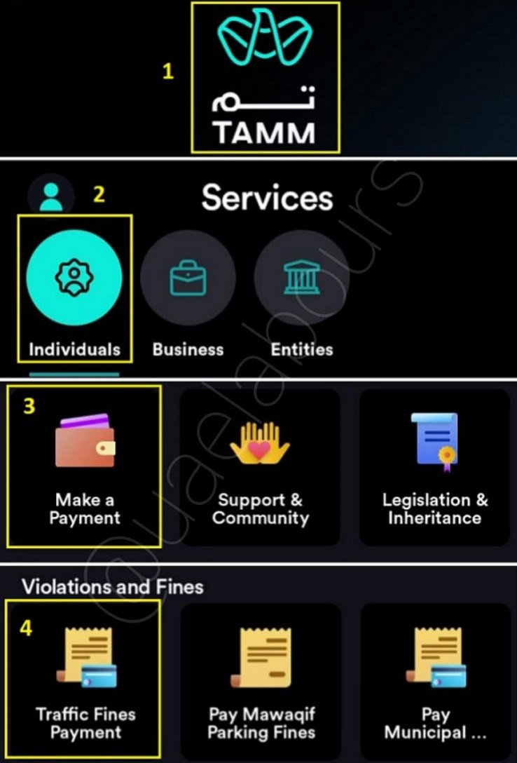 how to check emirates id fine on tamm abu dhabi 