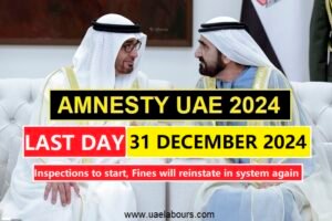 uae amnesty 2024