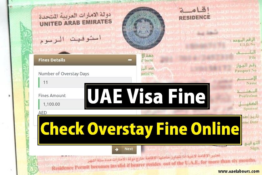 UAE Visa Fine Check 2025