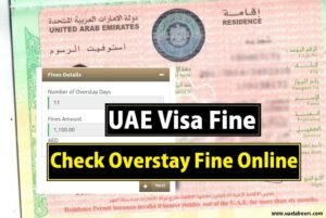 How to Check Overstay Fine in UAE