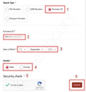 How to Check UAE Overstay fine using emirates ID