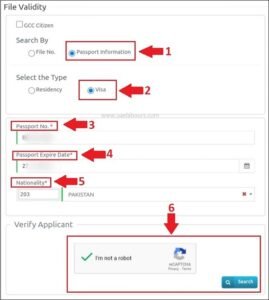 uae visit visa status by passport number