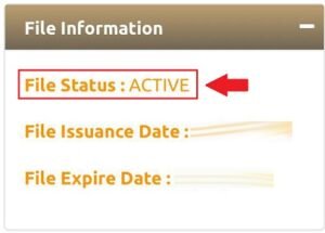 visa status active means