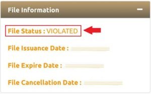 visa status violated