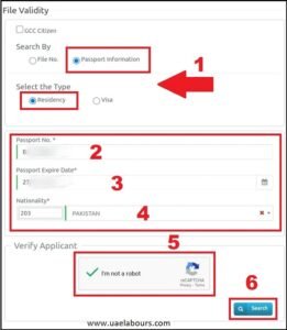 uae visa status by passport number