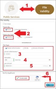 uae visa status by icp uae public services