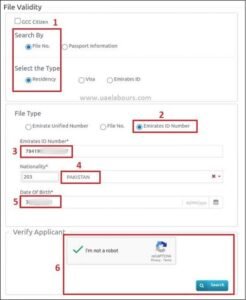 UAE Visa status with Emirates id number