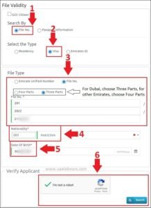 uae visa status with UID number