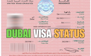 Check Dubai Visa Status