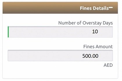 uae visa fine check sample