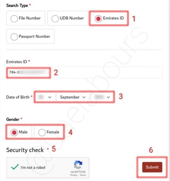 uae visa fine check by emirates id number