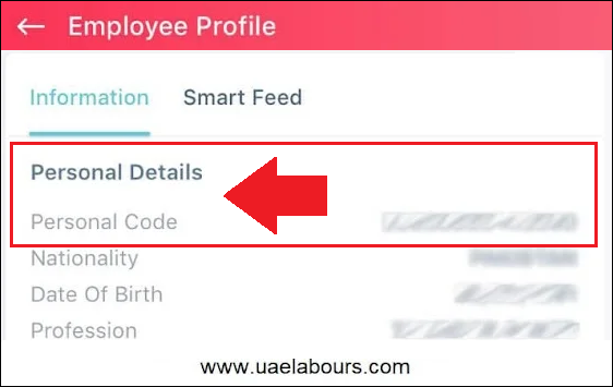 How to Find UAE Person Code