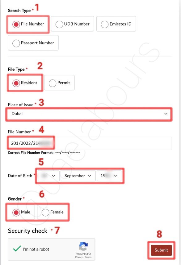 how to check uae visa overstay fine on gdrfa website