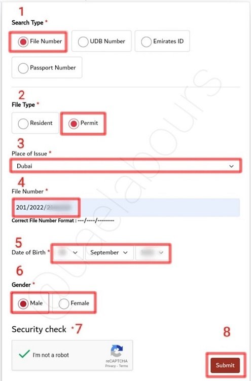 visit visa fine check on gdrfa dubai website